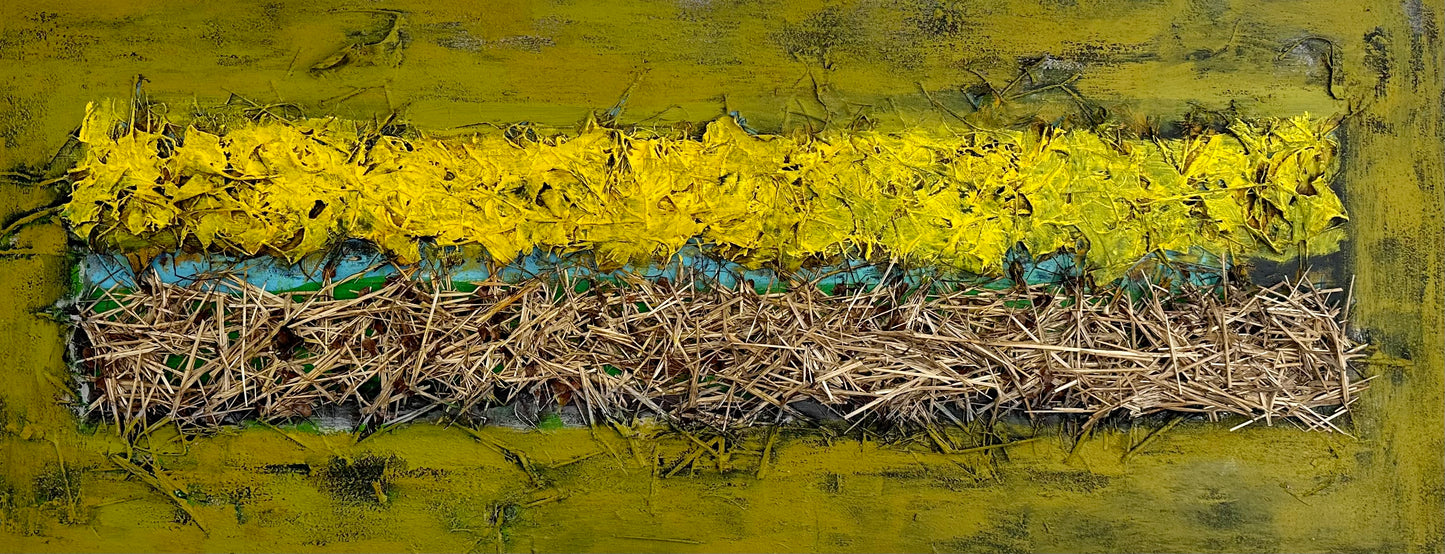 “Variations “ #11